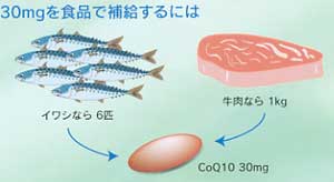 CoQ10 30mg を食品で補給するには イワシなら 6匹 牛肉なら 1kg