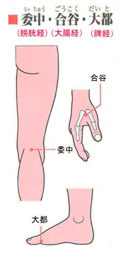 委中(膀胱経)・合谷(大腸経)・大都(脾経) の ツボの位置