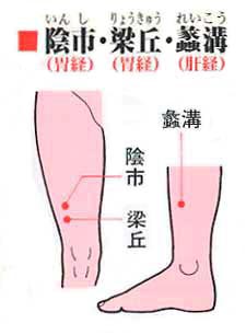膝のツボの位置　陰市（胃経）・梁丘（胃経）・れい溝（肝経）