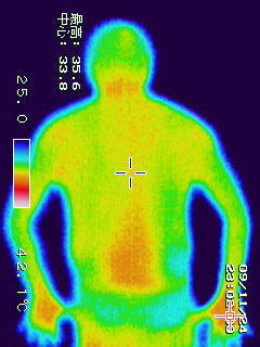 被験者Ａ　腰痛ニューシステム　上半身背中　体温　35.6℃