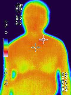 被験者Ａ　腰痛ニューシステム　上半身前面　体温　36.6℃