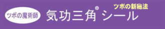 �c�{�̐V��@�F�c�{�̖��p�t�u�C���O�p�V�[���v